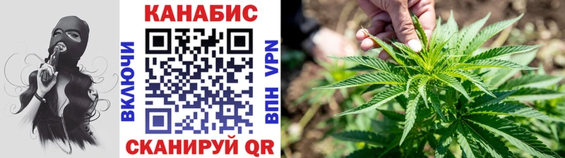 кракен зеркало Свободный Бошки Шишки тримм